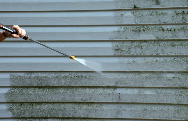 Best Rust Removal  in Normandy Park, WA